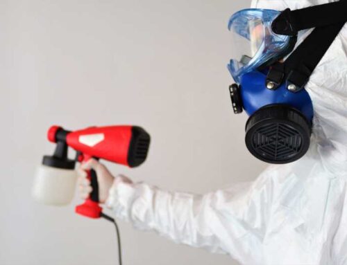 How to Prevent Mold Growth in Your Property